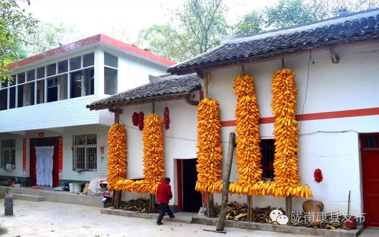 陇南康县杨湾村：团结桥上话幸福