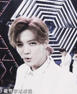 jolin蛋糕,jolin的翻糖蛋糕