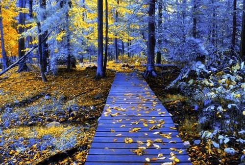 正是一年返乡季 回家路上必备装备推荐