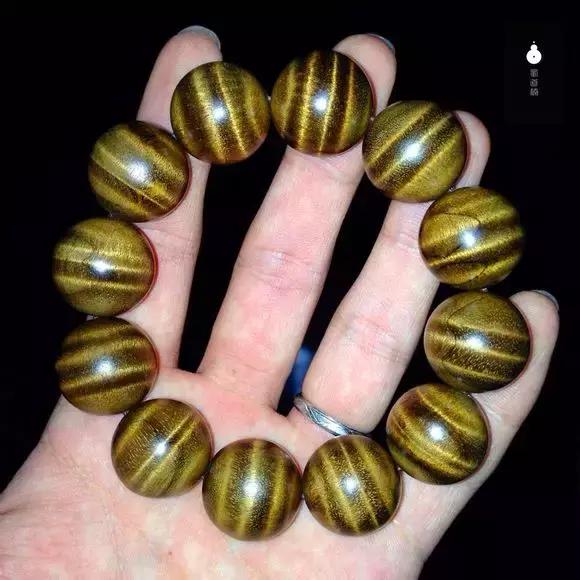 金丝楠木四大名树,金丝楠属于什么木类