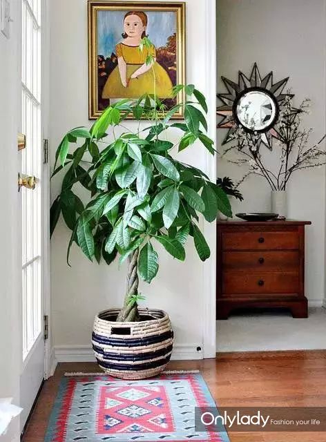 ins风家居必备物品,ins家居好物沙发