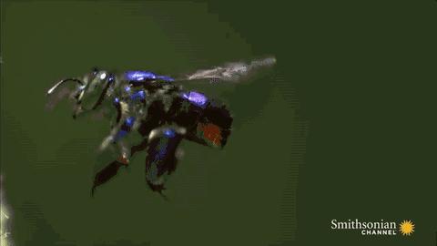 读了麻瓜麻鸡魔法入门，《神奇动物》会好看100倍