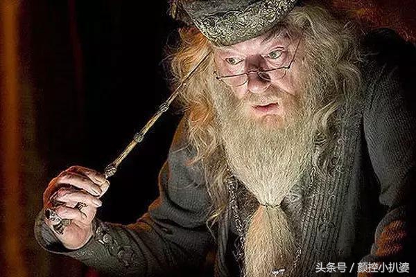 神奇动物有几个彩蛋,神奇动物在哪里系列深度解析