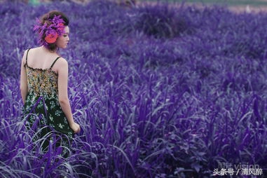 伤感友情文案催泪,伤感文案友情消失