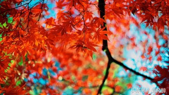 伤感友情文案催泪,伤感文案友情消失