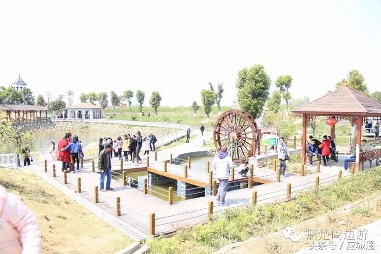 应来之城全景图片,中国湖北应城