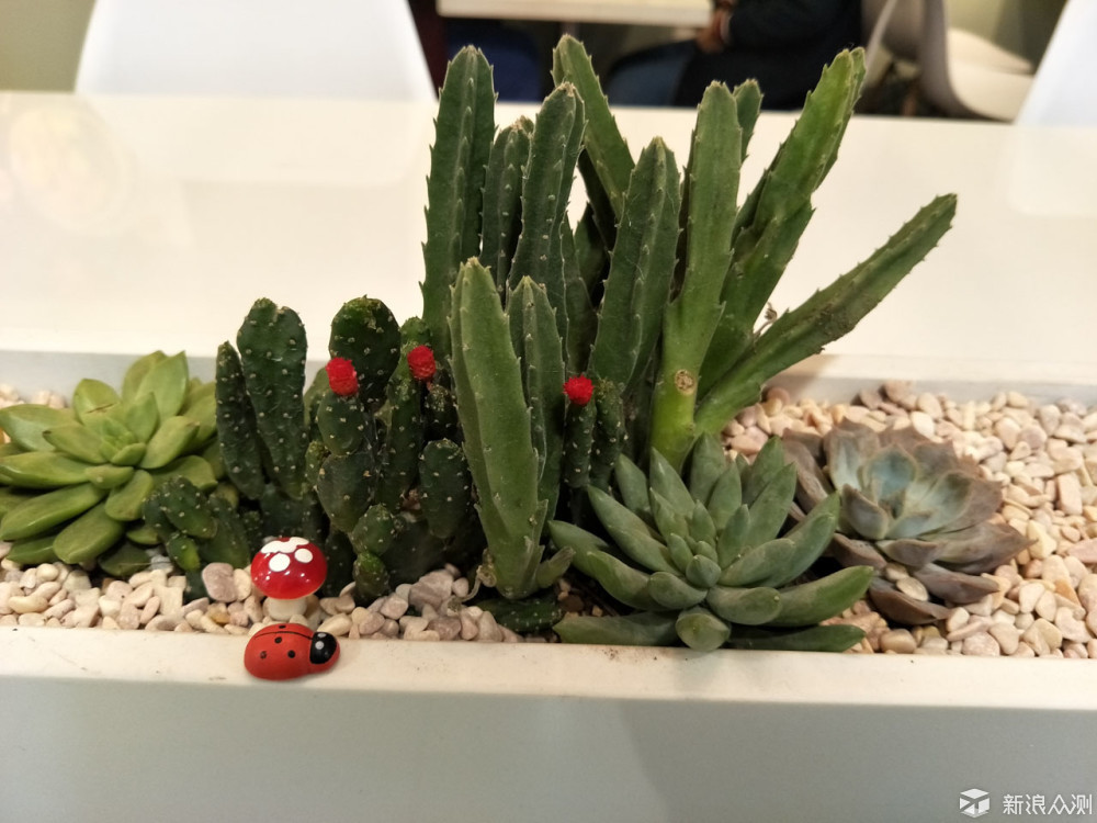 oppor9s评测,oppor9s多少钱一台