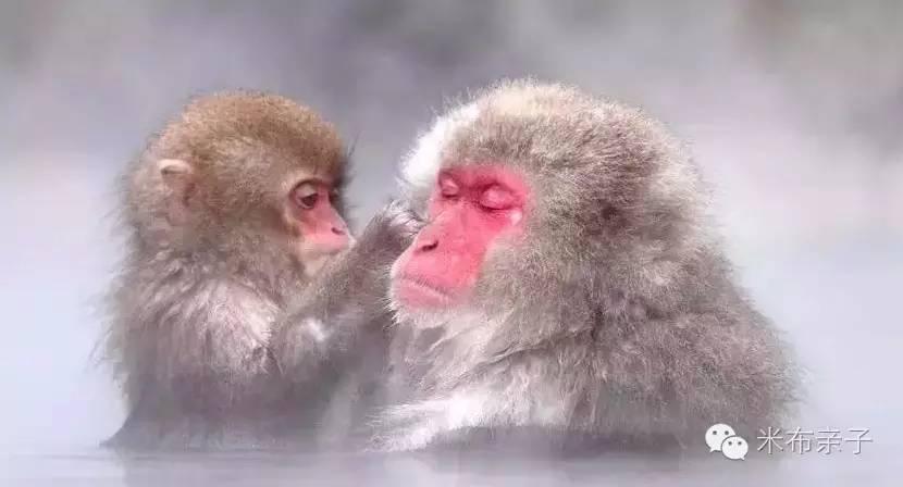 昆明好玩的温泉一人100元,昆明最好的温泉推荐吃住玩一体