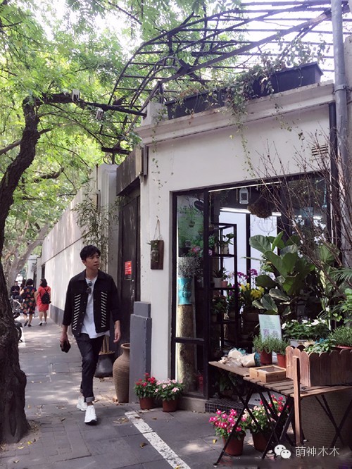 俞灏明烧伤后恢复了吗,被烧伤前的俞灏明照片