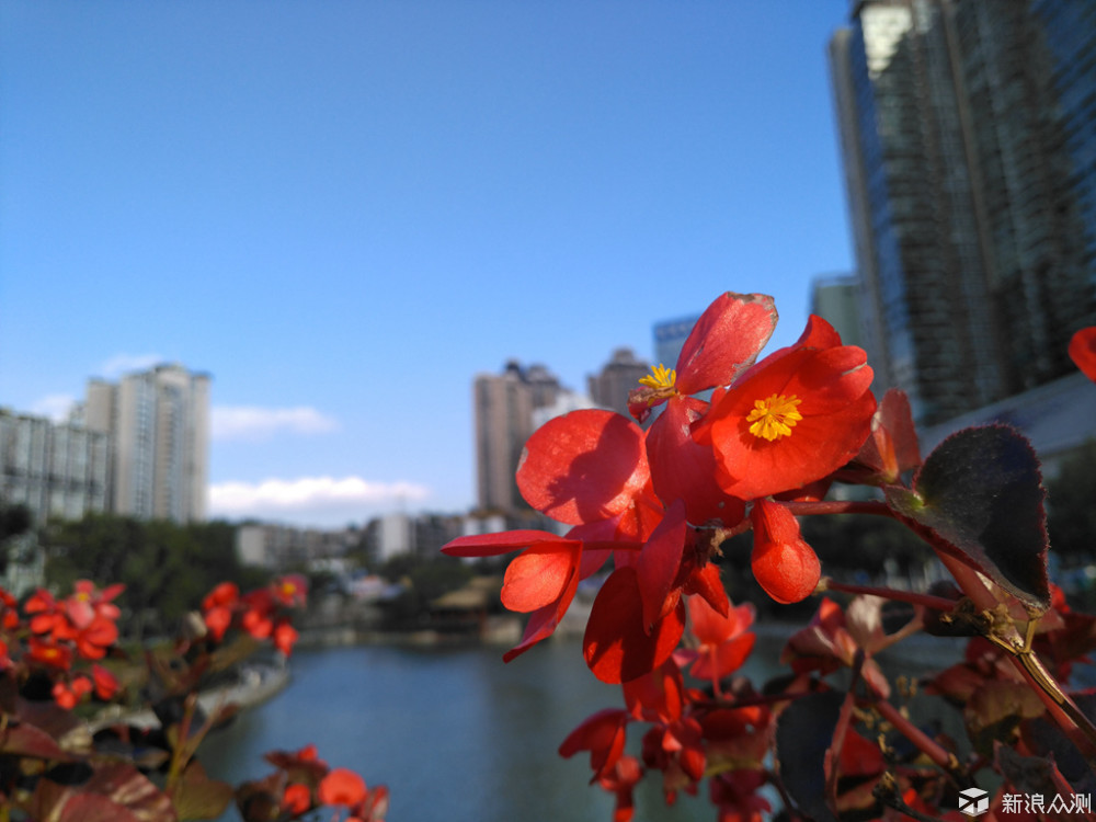 锤子vs苹果手机,锤子能和苹果比吗