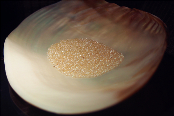 在第二个夏日赴一场海鲜的约会