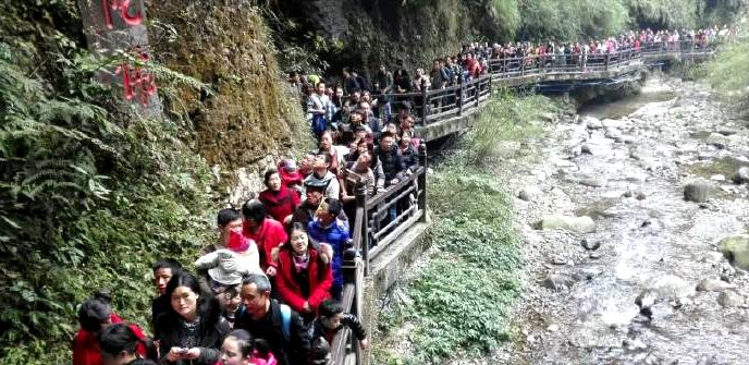 那个“龟儿”为啥要去旅游峨眉山