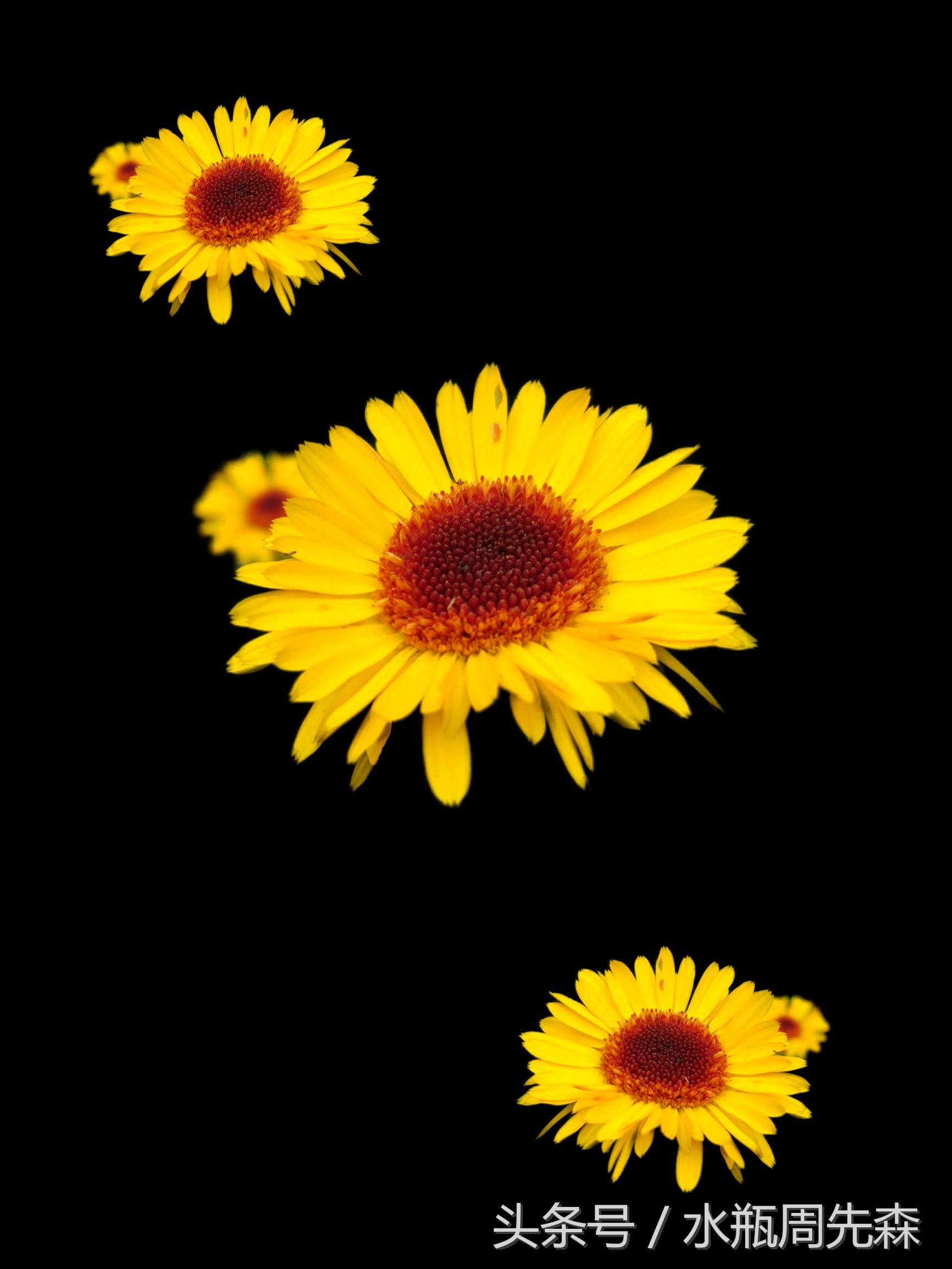 显得高大上的手机锁屏壁纸,高大上最美曲屏手机壁纸