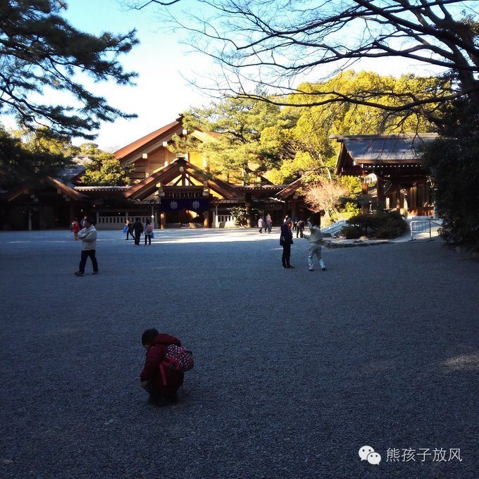 这个冬天我们一起去日本看雪,去日本看雪景哪个地方好