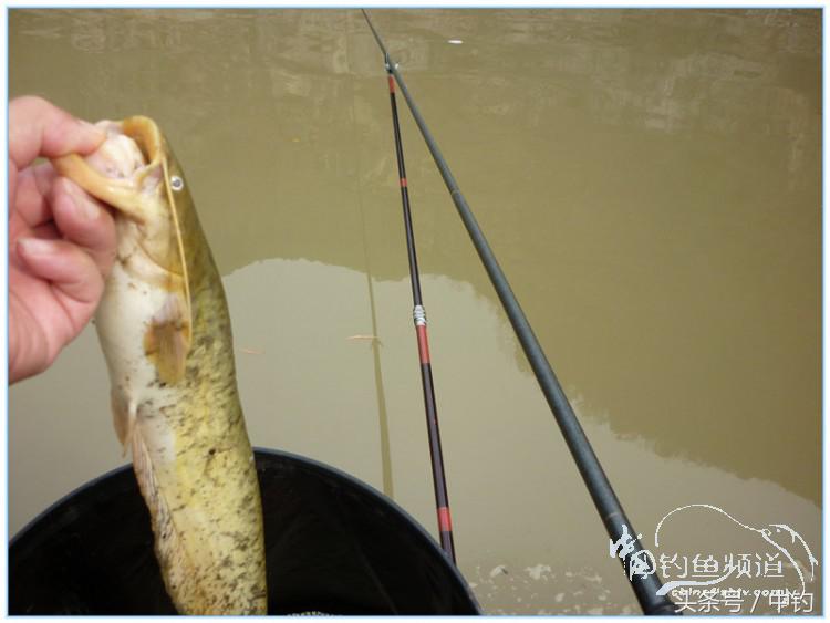 虎岭钓鱼路亚,虎岭钓鱼场