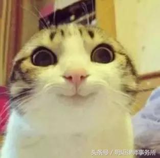 零基础考司考要多久,零基础一年能考过司考吗