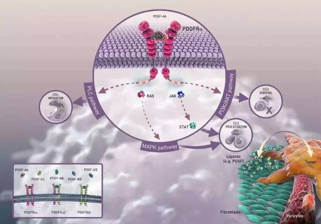 肉瘤新型药物,肉瘤未来能被攻克吗