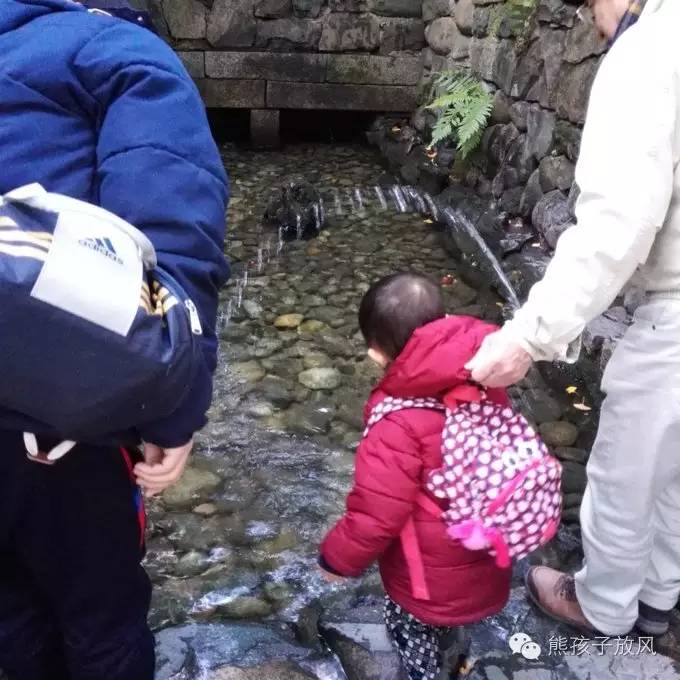 这个冬天我们一起去日本看雪,去日本看雪景哪个地方好