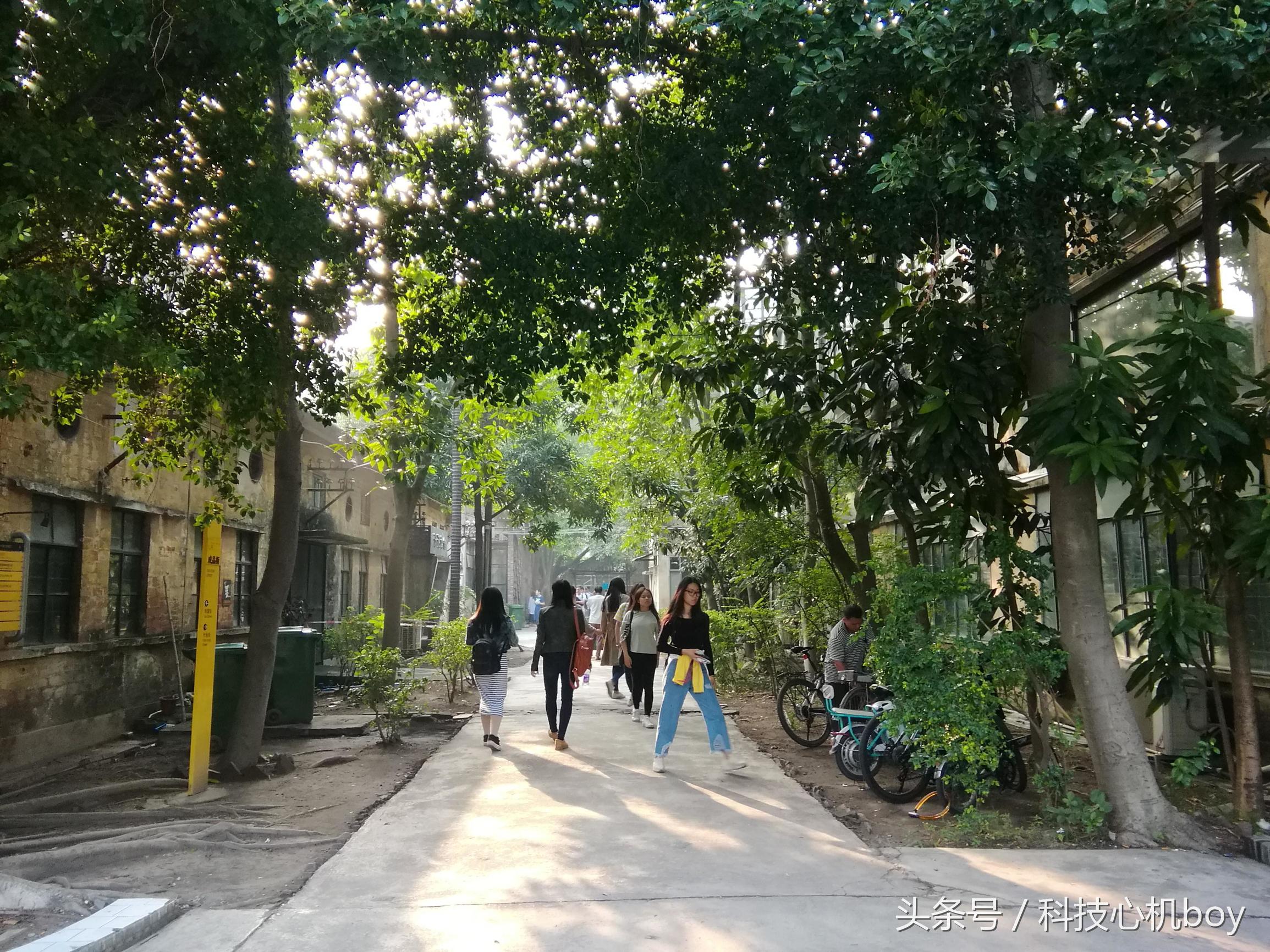 华为nova8pro和荣耀m3哪个好,华为mate40e和荣耀m3选哪个