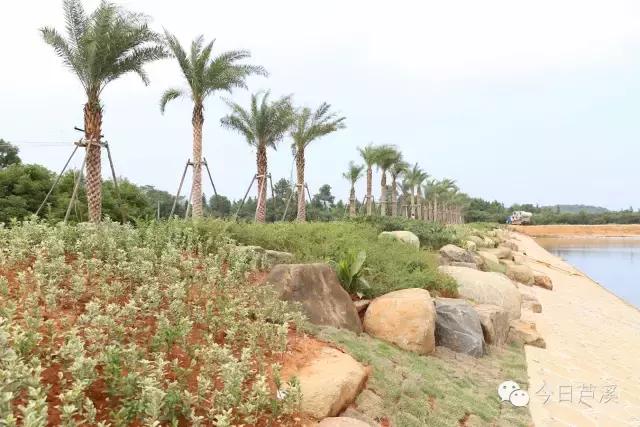 自驾去萍乡武功山,从上栗到萍乡怎样坐客车