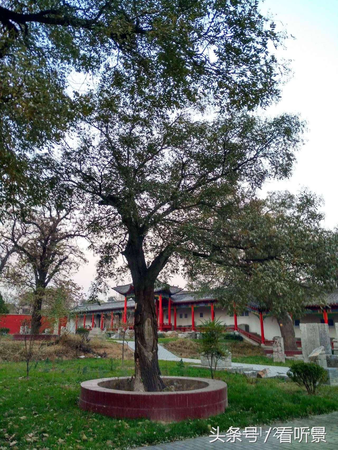 安阳市北关区昼锦堂学校介绍,安阳古代书院