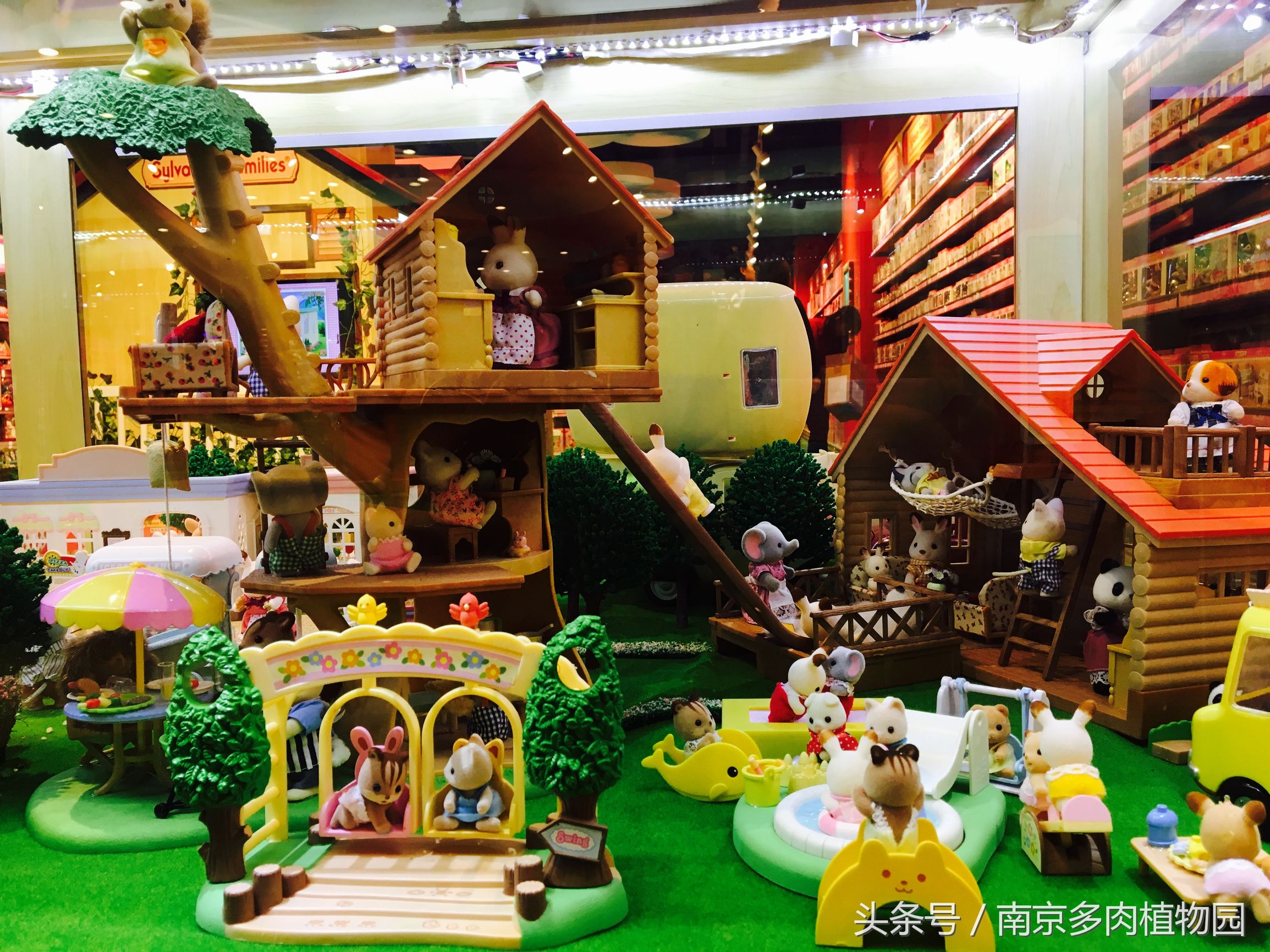 乐高积木成人款植物多肉,小玩具乐高