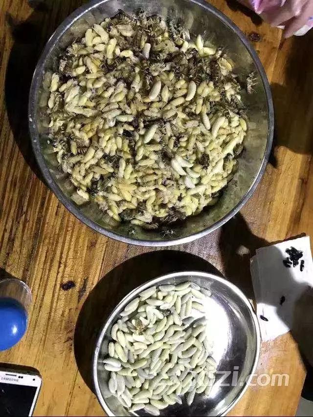 入冬了，原来惠阳的吃货们是这么玩的，看完后越寒冷越心动！