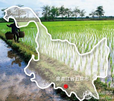 如何在中粮网上团购,中粮网上怎么卖