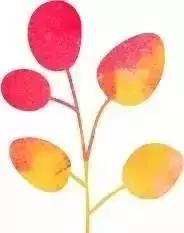 成都最萌的“银杏宝宝”在哪里？快来拿金色大礼！