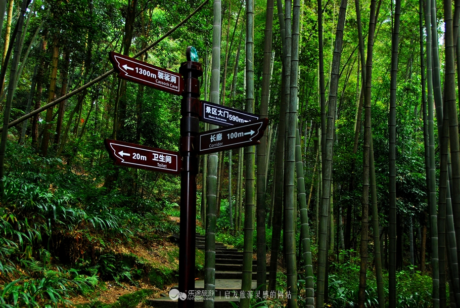 漫步缙云“自然小径”书写自然笔记