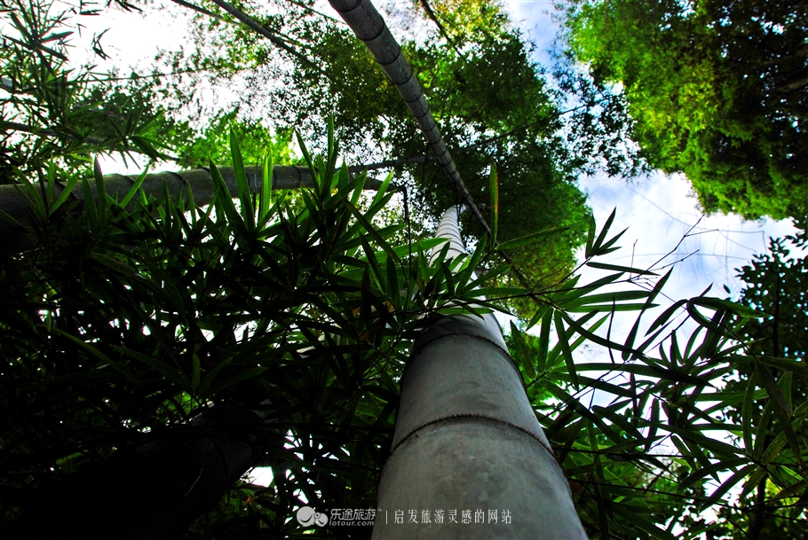 漫步缙云“自然小径”书写自然笔记