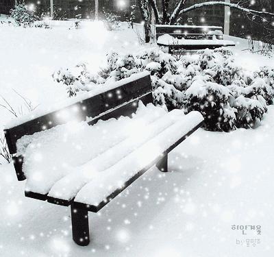 诗词鉴赏一枝春,诗词鉴赏一夜东风绽早梅