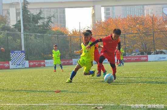 上海上港上海申花哪个强,申花上港最强阵容