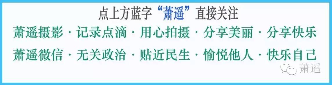 和国外人说话语言不通怎么办,与外国人无障碍交流方法