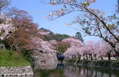 「实用攻略」异域风情在上海玩遍全世界