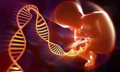 science子刊评副教授,science子刊接收概率