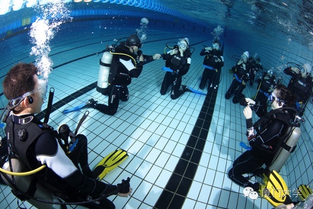 特色课程游泳课内容,隐藏的体育课