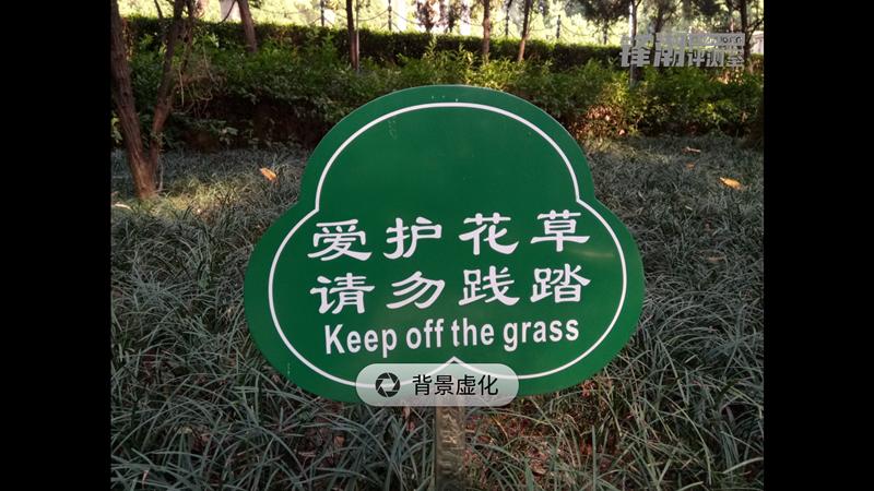 金立双镜头,金立四摄拍照