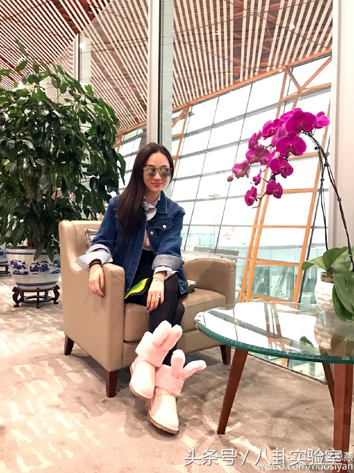 富二代郑恺,郑恺富二代疯狂追求女神