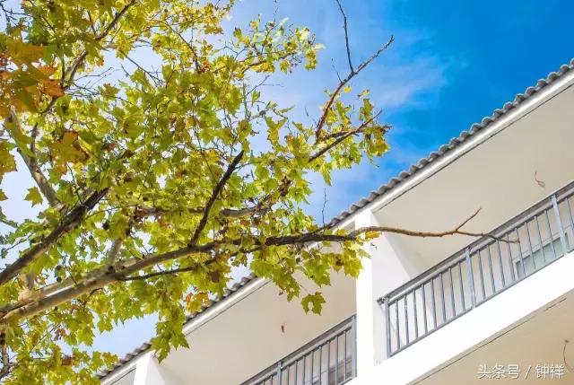 钟祥还能不能去,对不起我要离开了文章