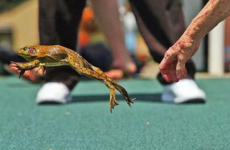 世界奇葩比赛排名,世界上有哪些奇葩又恶心的比赛