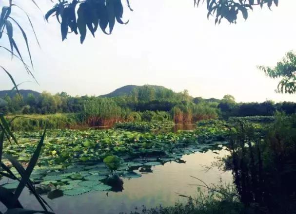 南京好玩的农家乐度假村排名,南京农家乐周末最值得一去的地方