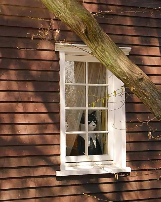 日本宫崎骏博物馆,日本宫崎骏博物馆八音盒