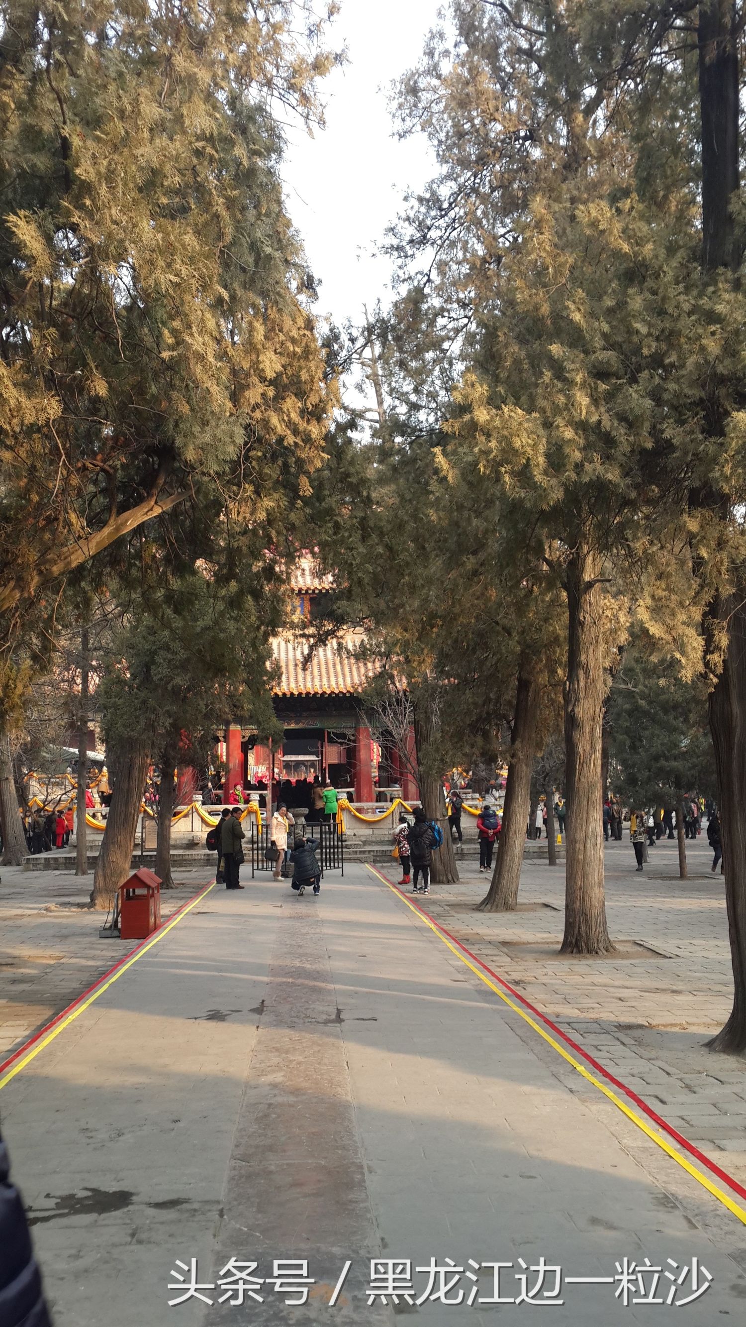 曲阜孔庙旅游免费攻略,走进孔子的故乡山东曲阜孔庙