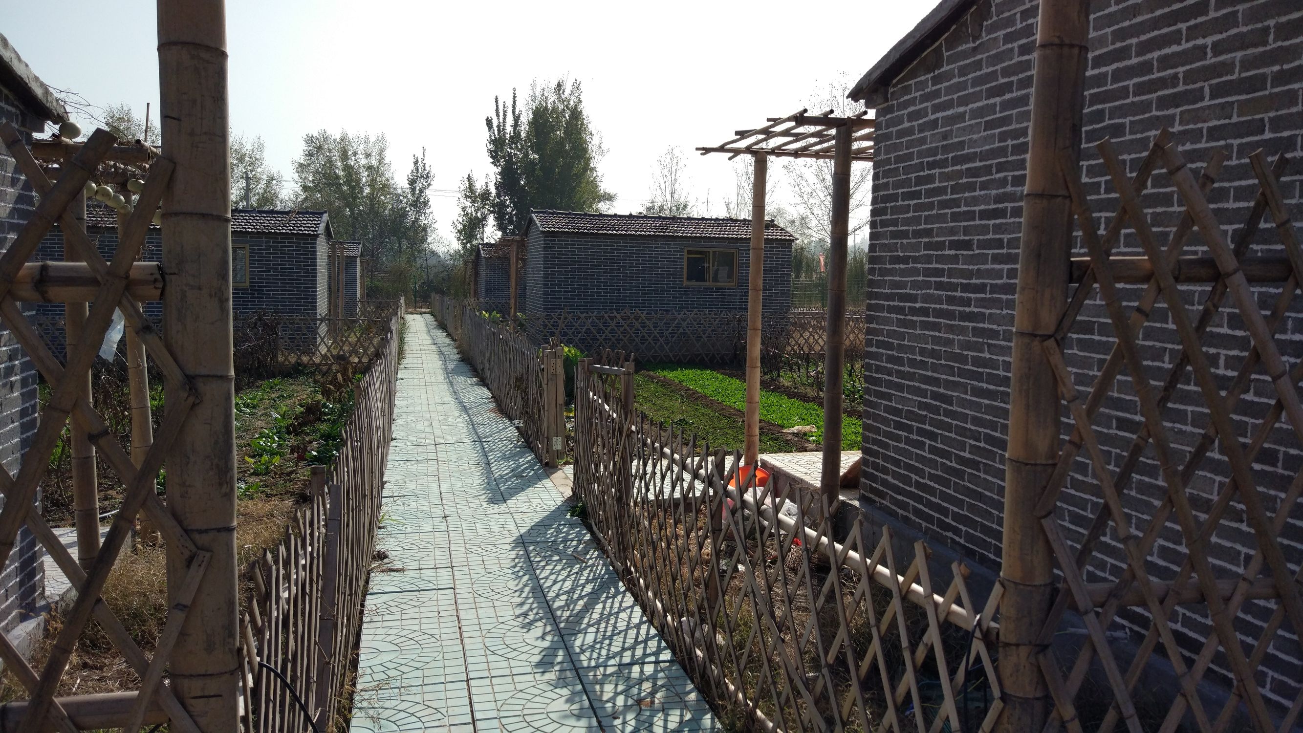 青州赤涧村数字乡村建设心得体会,青州弥河赤涧村