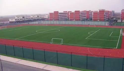 成都最爽看足球比赛的地方,成都凤凰山专业足球场看球攻略