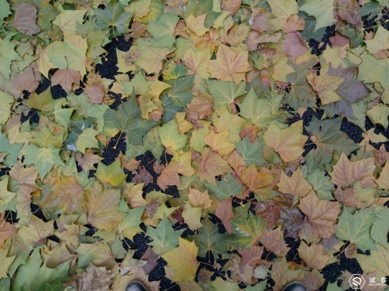 超长续航千元机魅蓝5,够用的安卓手机