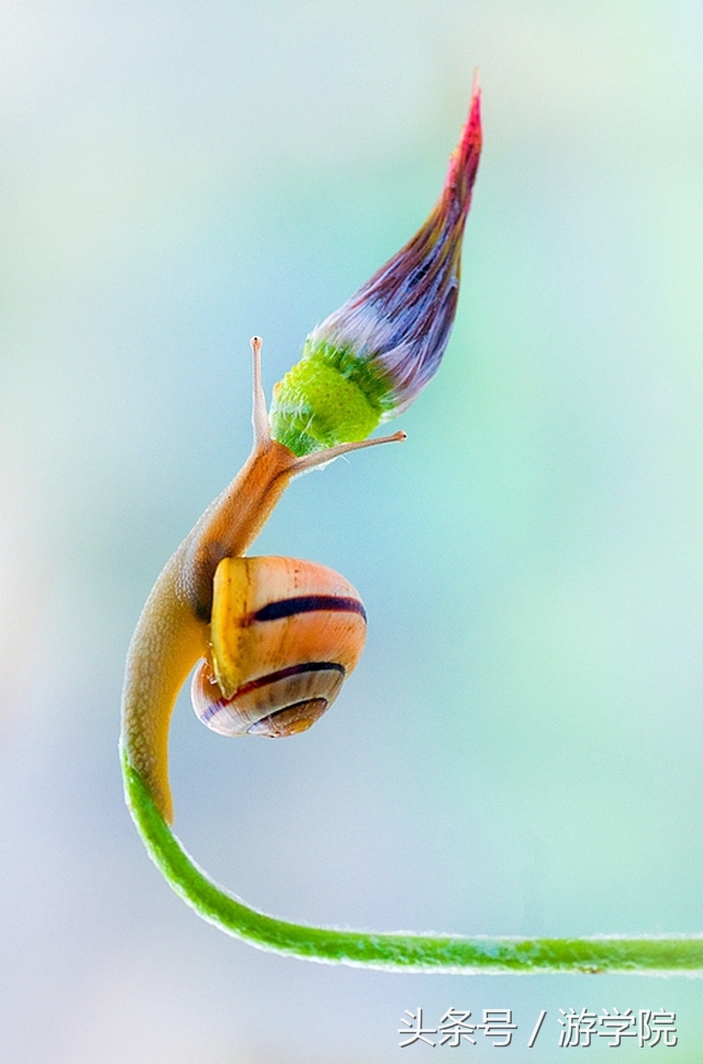 摄影答疑,解答摄影问题