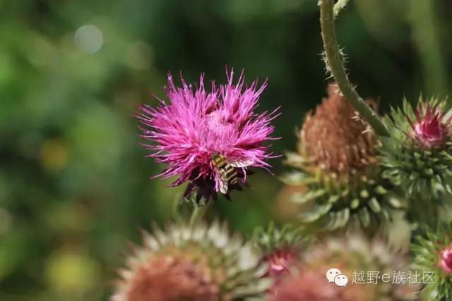 说走就走出去溜达,说走就走出去玩视频