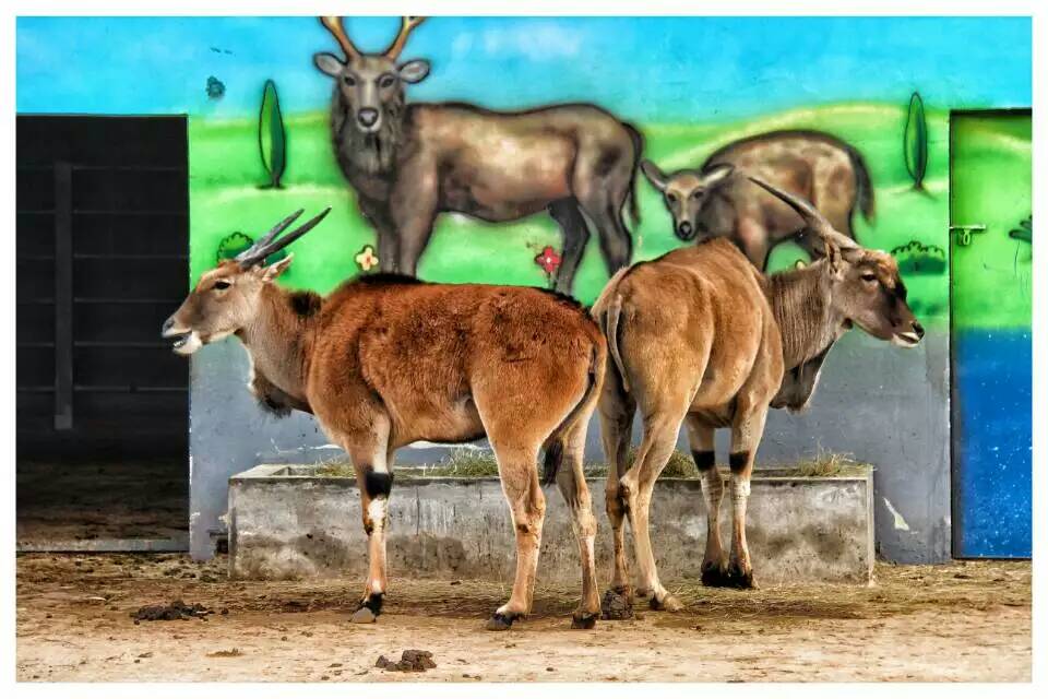 德州记者摄影师,德州专业摄影师